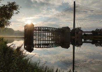 Zatruta woda w Odrze? Minister Moskwa: Nie znaleziono rtęci