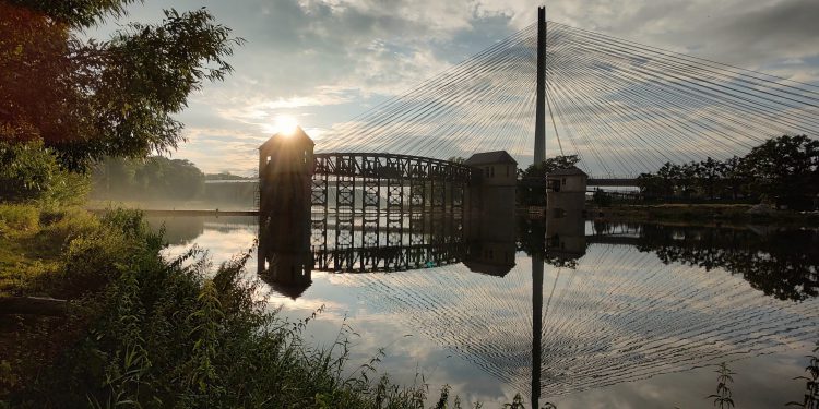 Zatruta woda w Odrze? Minister Moskwa: Nie znaleziono rtęci