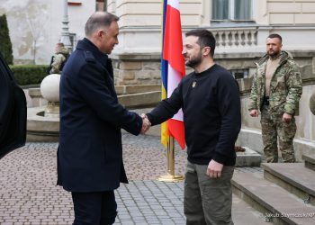 Reakcje na Deklarację prezydentów Polski, Ukrainy i Litwy