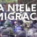 Debata w PE na temat nielegalnych imigrantów